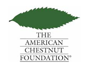 Am-chestnut-logo