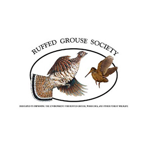 Grant logos _0015_RGS