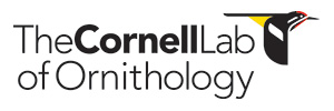SFI_Cornell_BirdsYouth