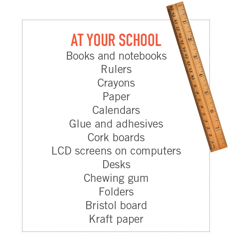 ScoutGreenJobs-school