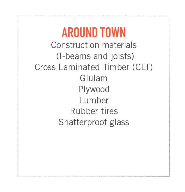 ScoutGreenJobs-town