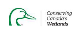 ccw-logo