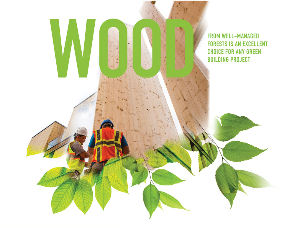 hero-GreenBuilding